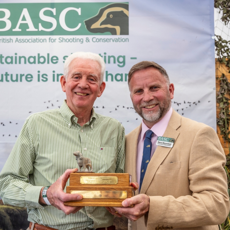 Tower bird trophy