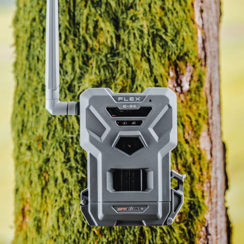 Trail cam attached to a tree