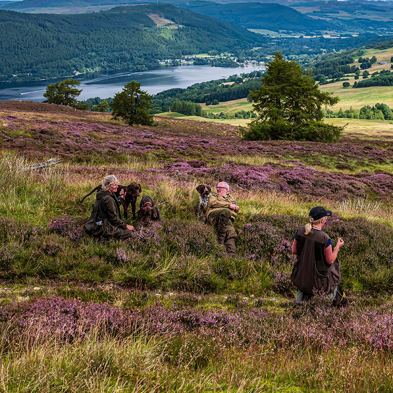 Moorland shooters