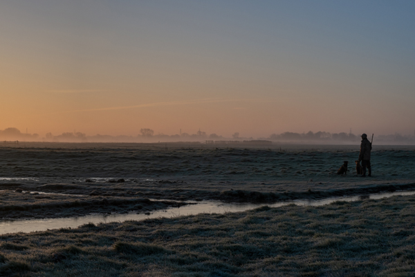 A wildfowler standing with their gundog