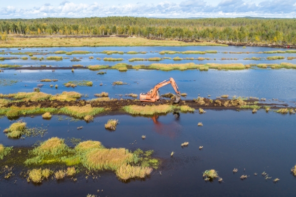 Digger working in the SOTKA wetlands