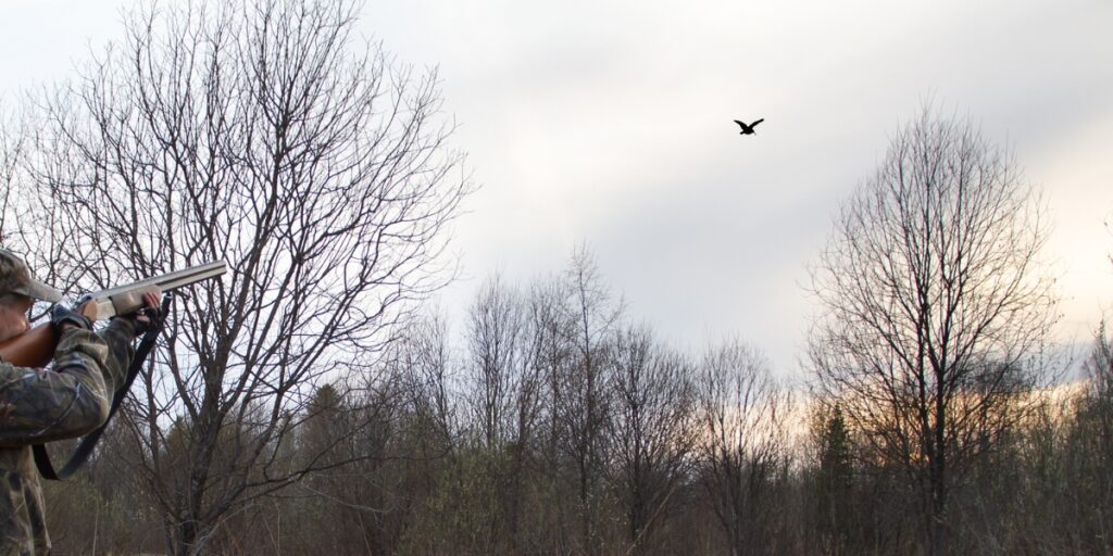 Man shooting woodcock with shotgun