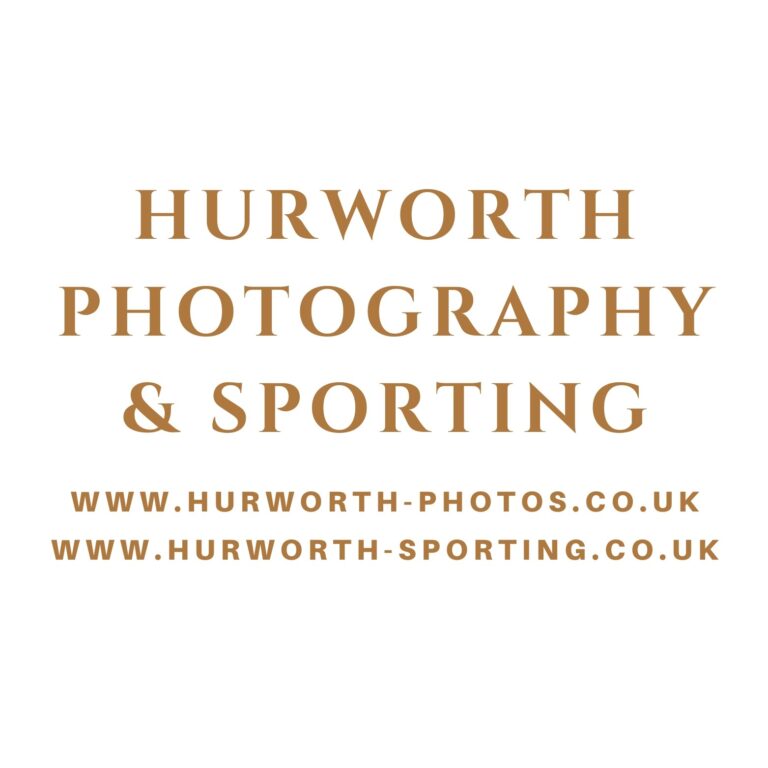 Amy Fair logo 768x768