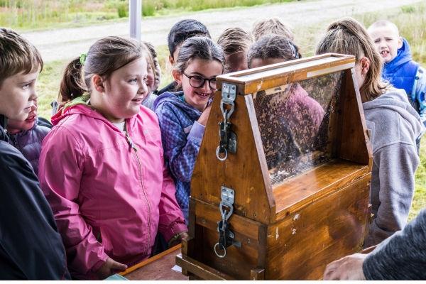 Children looking at a beehive