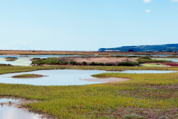 UK wetlands