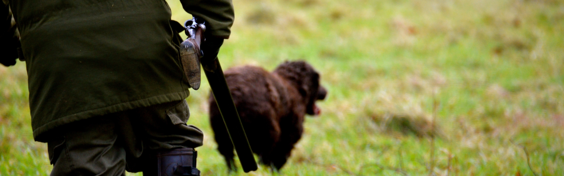 game shooter with dog