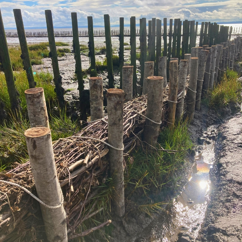 new reclamation barrier at Wentloog