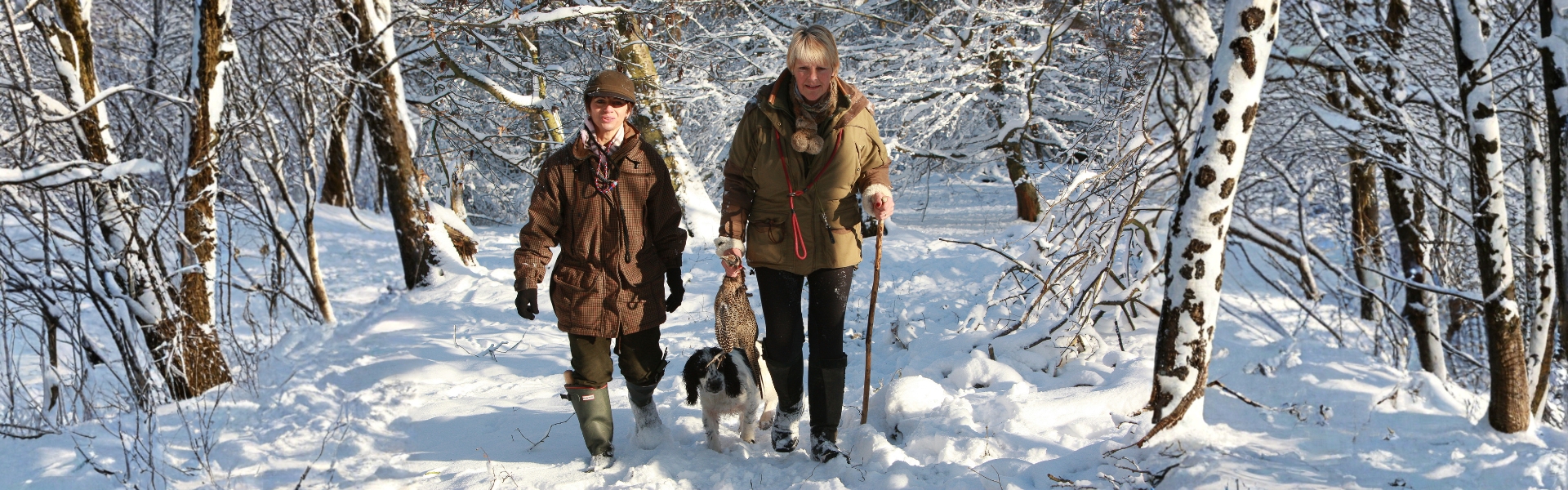 boxing day shoot