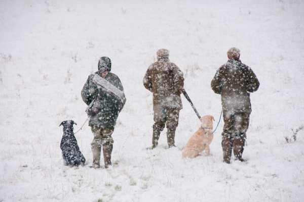 boxing day shoot