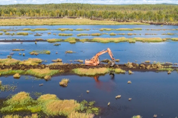 Barton-on-Humber wetlands project