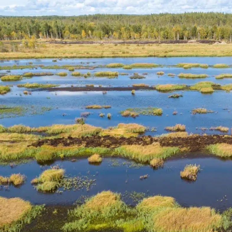 Barton-on-Humber wetlands project