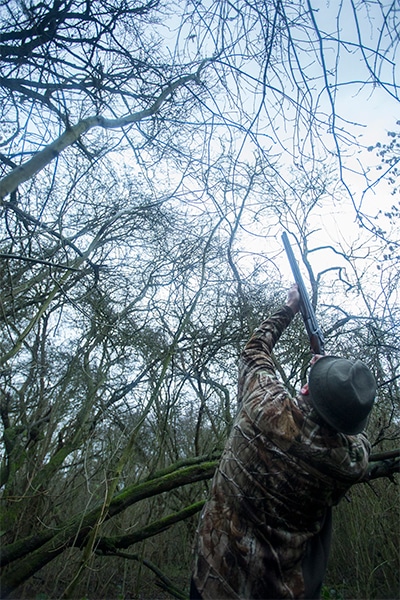 roost shooting