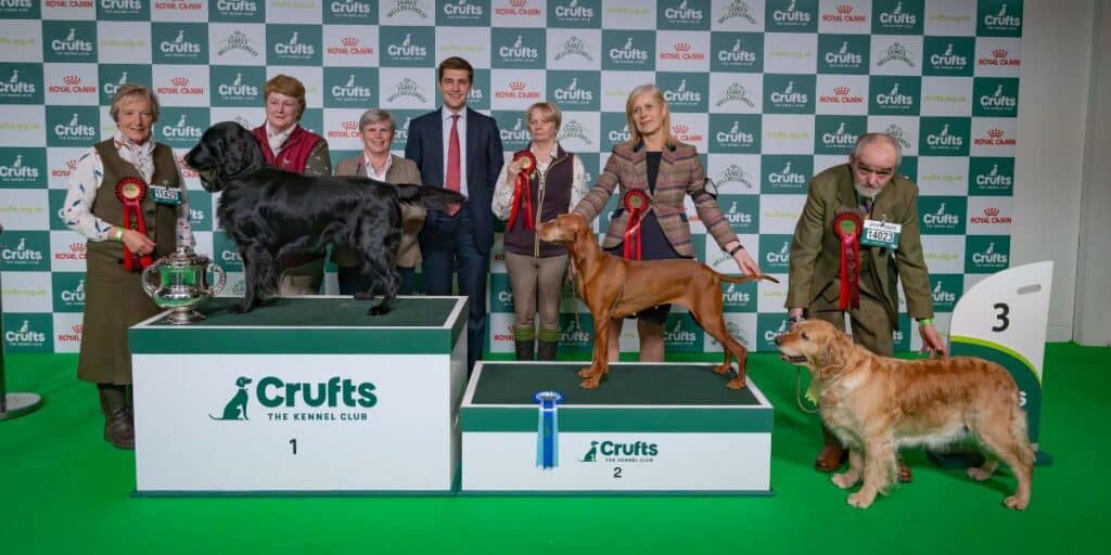 Crufts gamekeeper class top 3