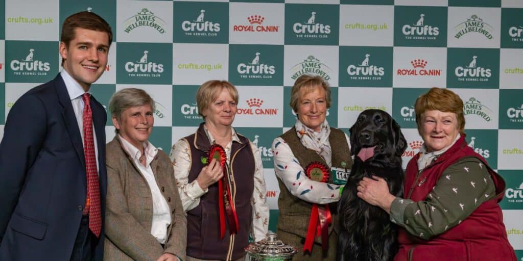 Crufts gamekeeper class winner Barney the flat coated retriever