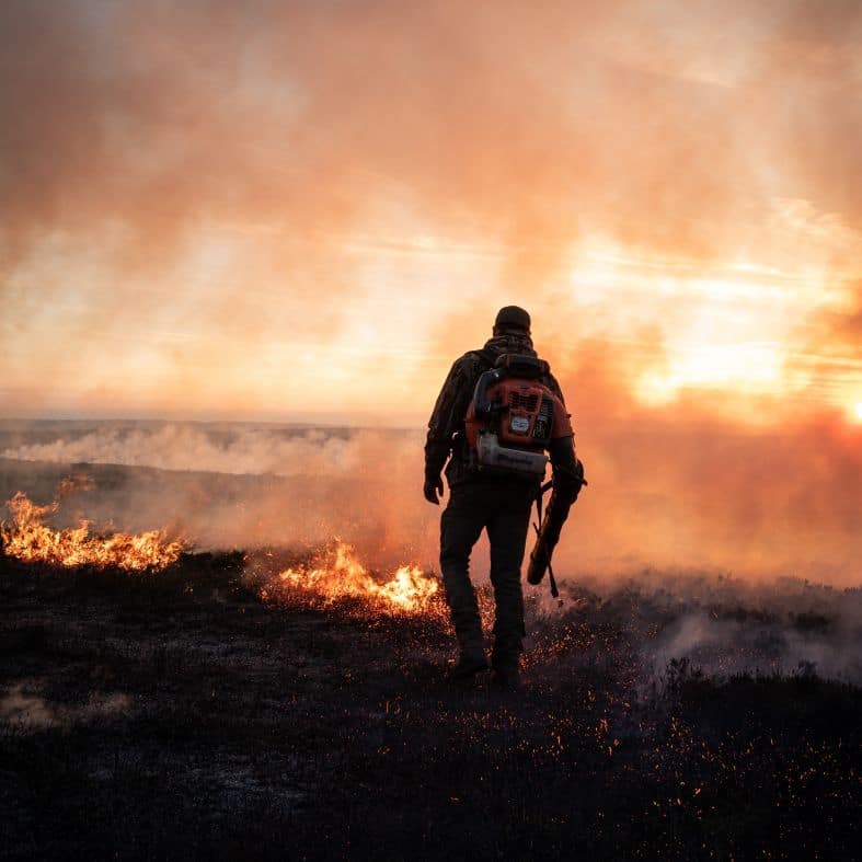 Controlled heather burning
