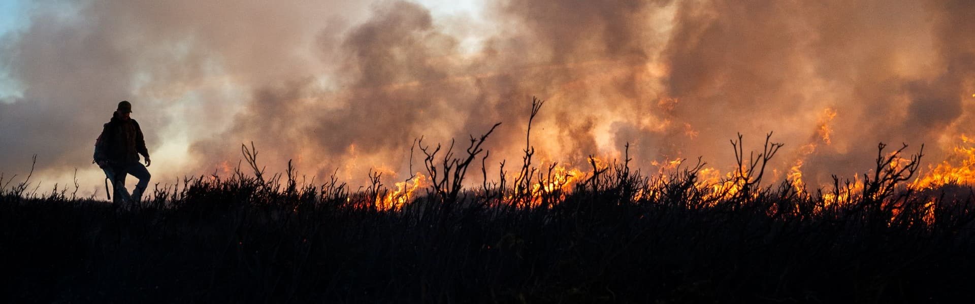 Controlled heather burning