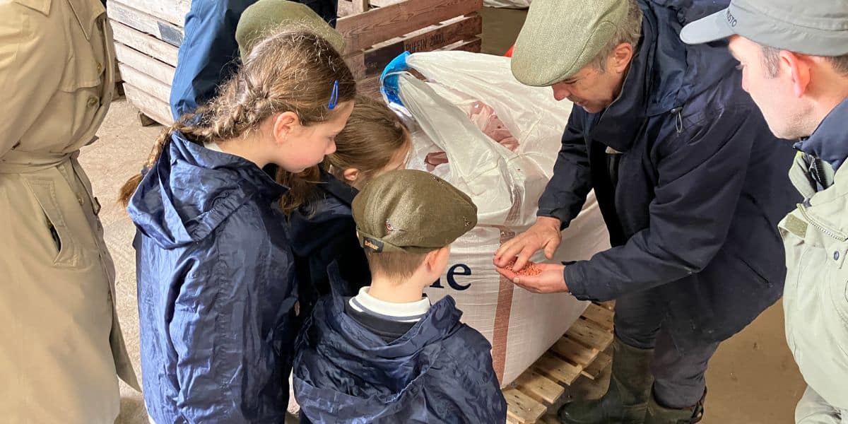 introducing children to the countryside