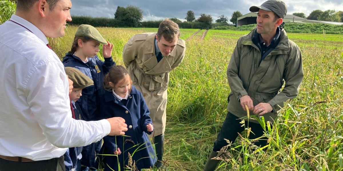 introducing children to the countryside