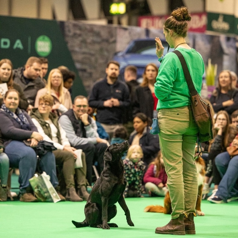 training for Crufts