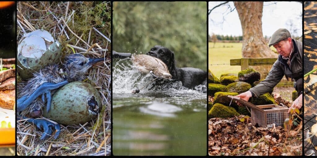BASC calendar competition