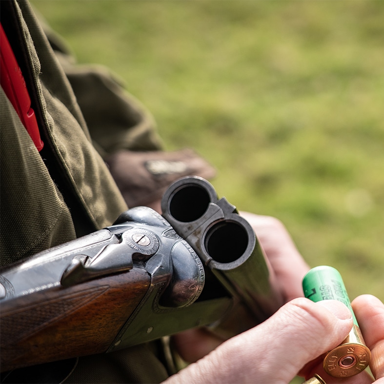 Shotgun loading
