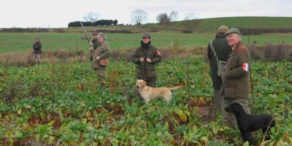 field trials
