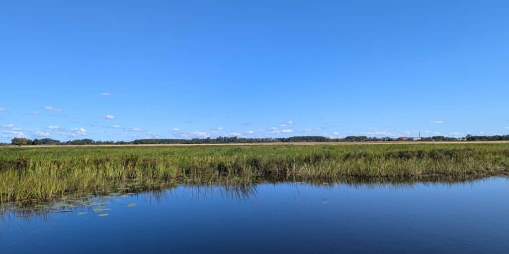 Swedish wetland