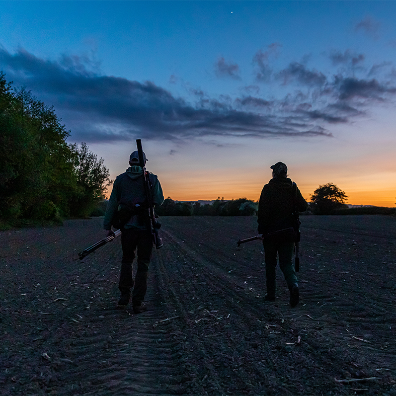 Night shooting