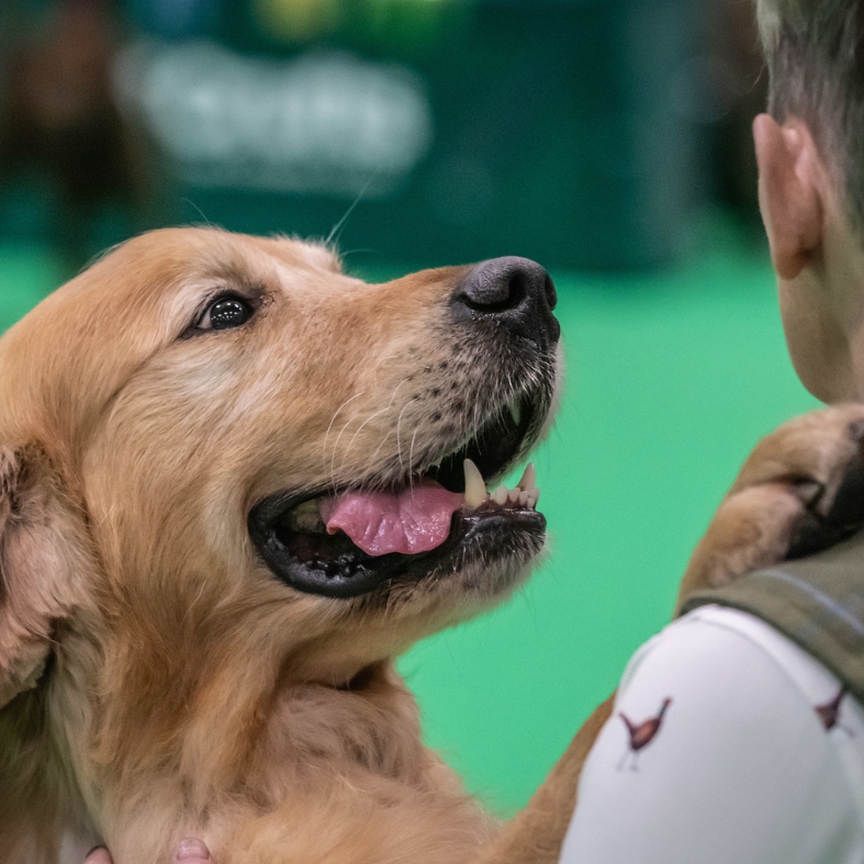 Crufts 2025