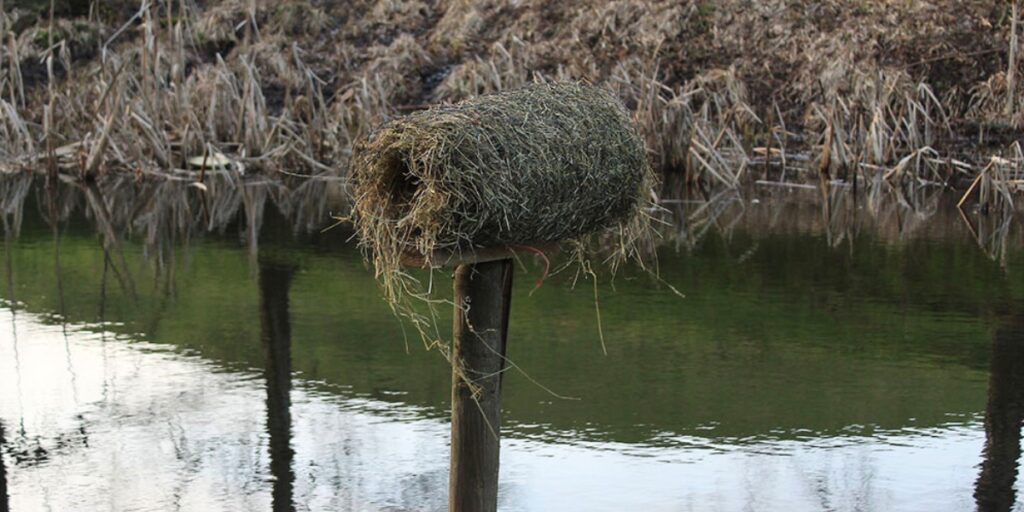 duck nest tube
