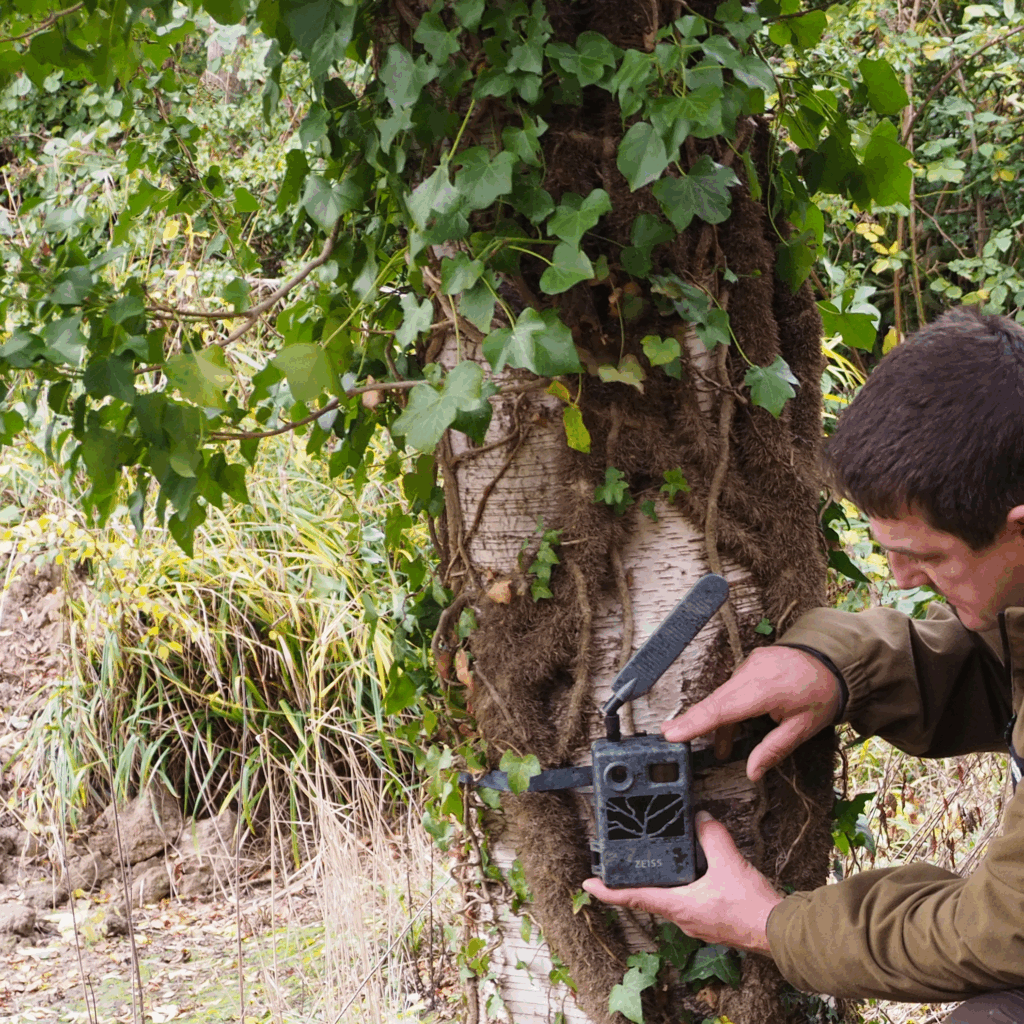 duck nest monitoring prize winner