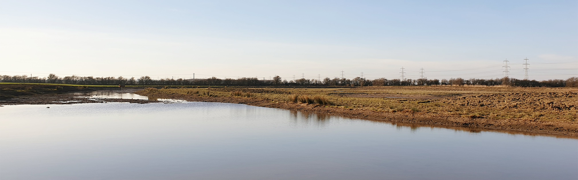 Wetland