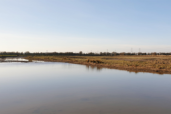 Wetland