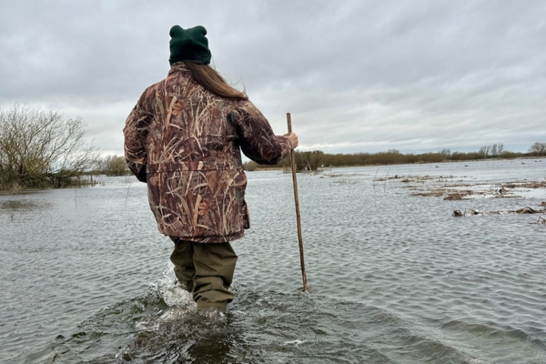 Lydia wildfowling