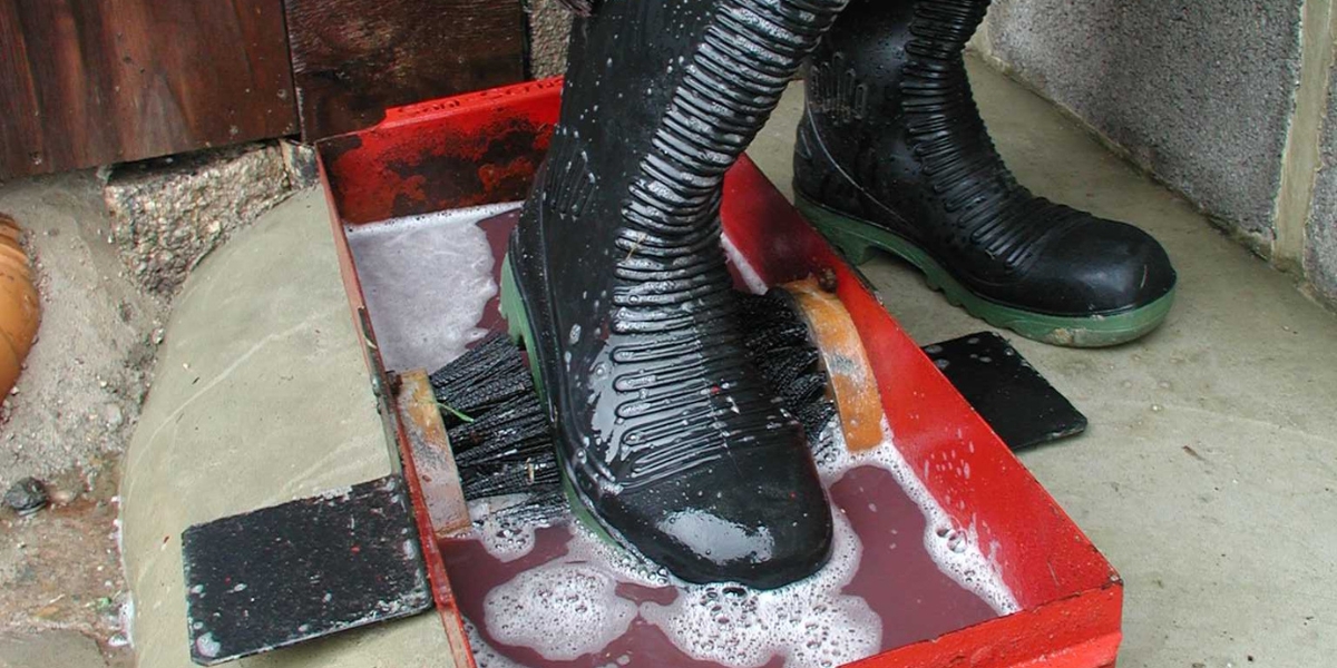 foot dip