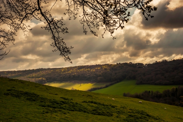 countryside uk