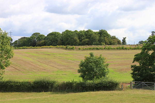 Countryside landscape