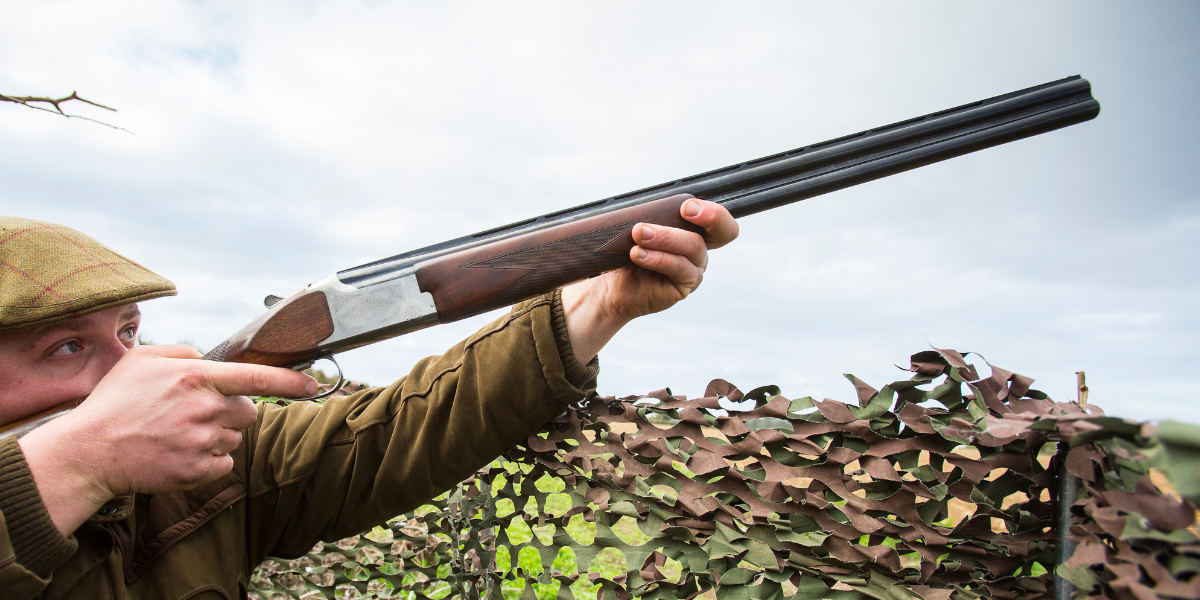Pigeon shooting in hide