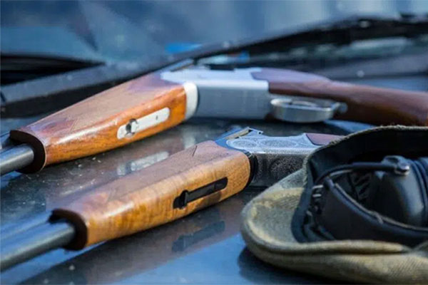 Shotguns