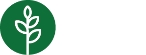 Four seasons spring logo