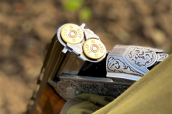 Shotgun