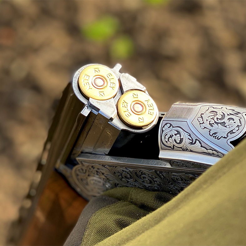 Shotgun