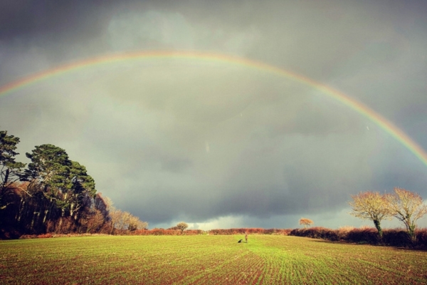 shooting rainbow