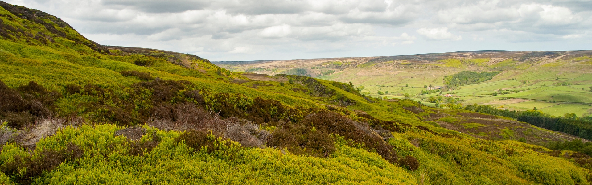 North York Moors