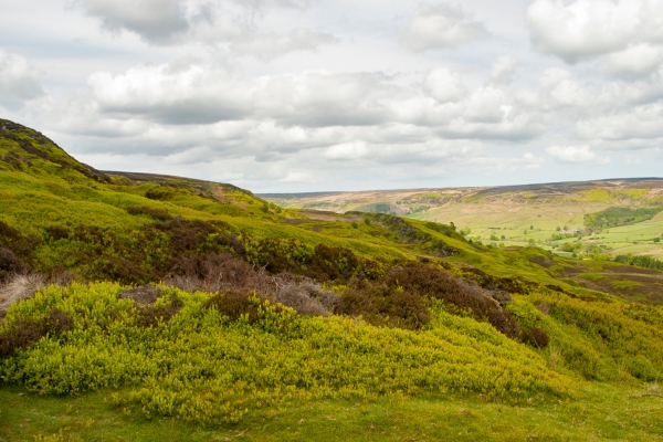 North York Moors