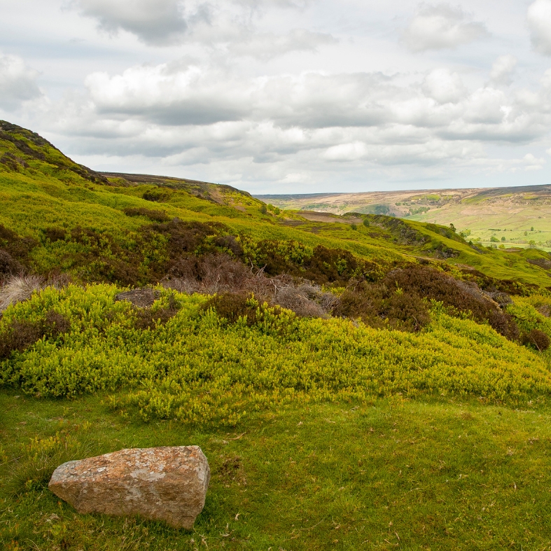 North York Moors