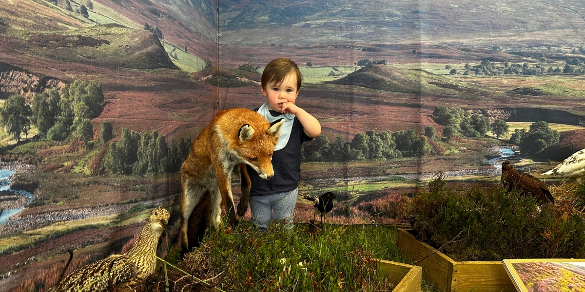 Scottish Game Fair