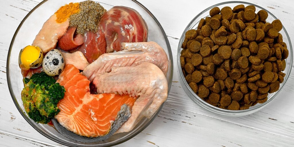 raw dog food